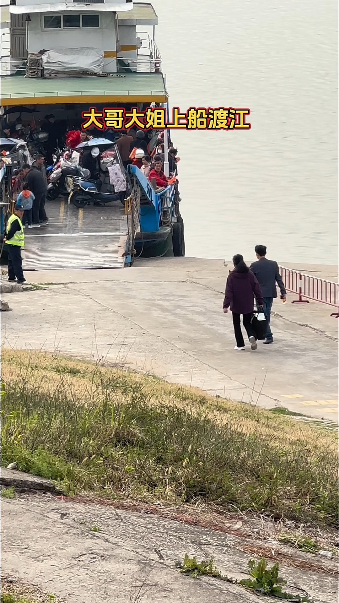 详细阅读:快步(快步麻蜥) 快步(快步麻蜥)